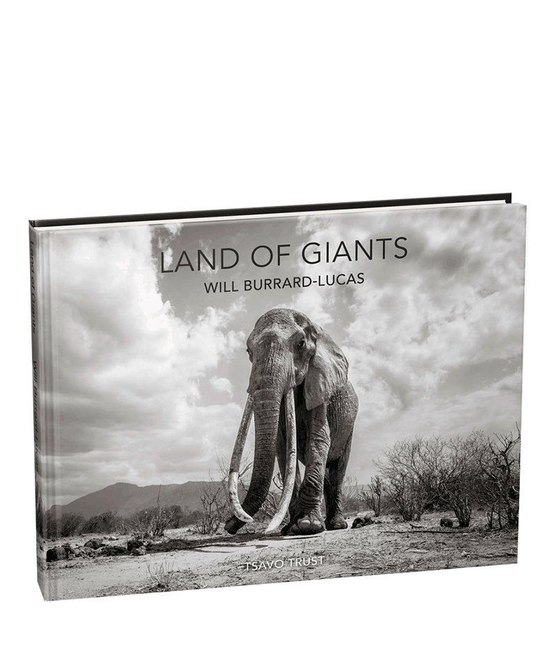 Land of Giants - HPH Publishing South Africa