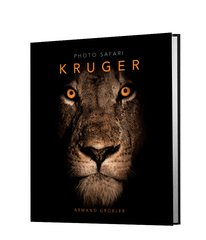 Photo Safari – Kruger - HPH Publishing South Africa