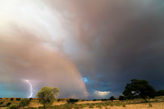 Don’t underestimate the dangers of getting lost in the Kgalagadi