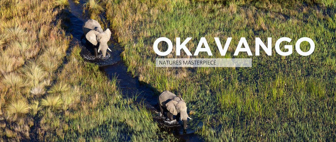 Okavango – Nature's Masterpiece