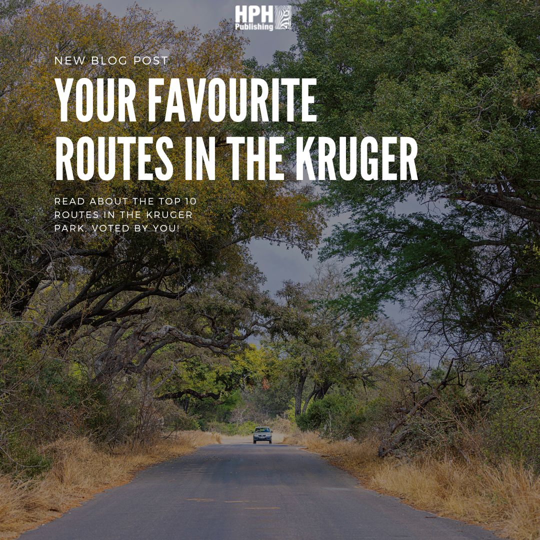 Your TOP 10 Favourite Roads in the Kruger