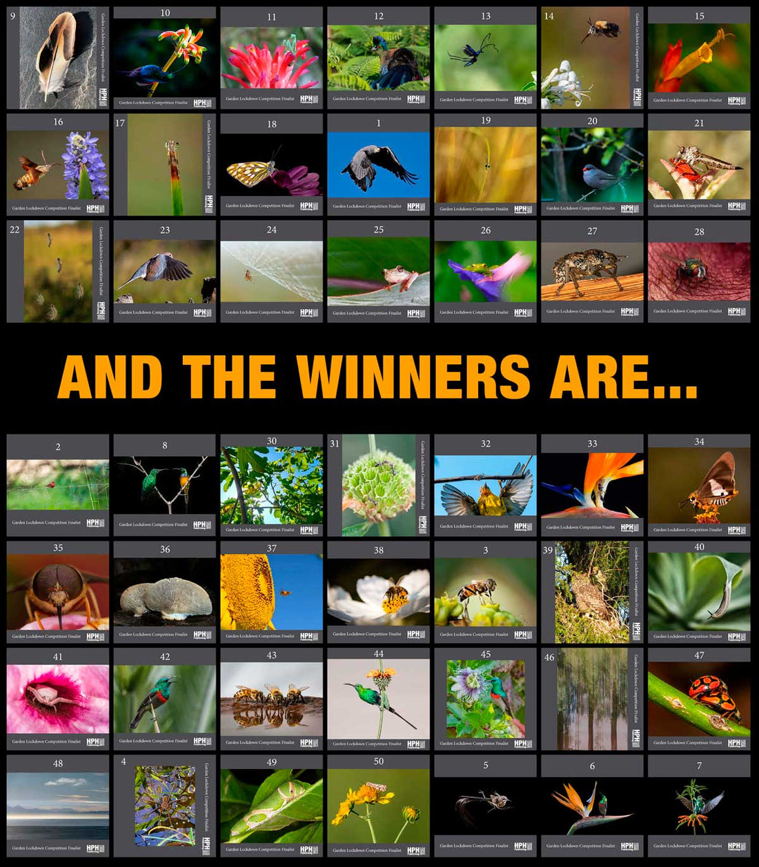 Garden Lockdown Photography Competition Winners