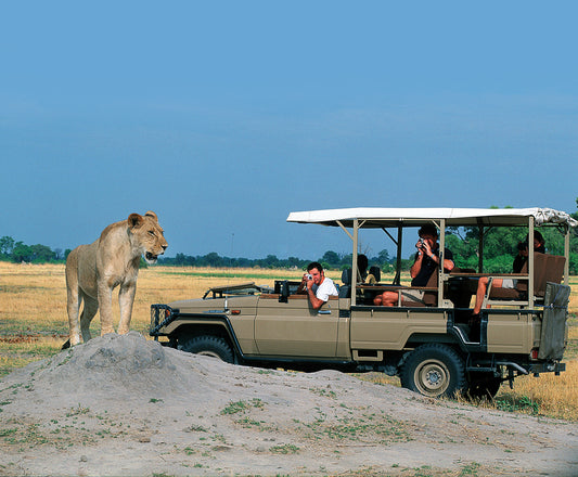 Get the most from your game drive