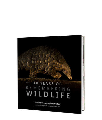 10 Years of Remembering Wildlife