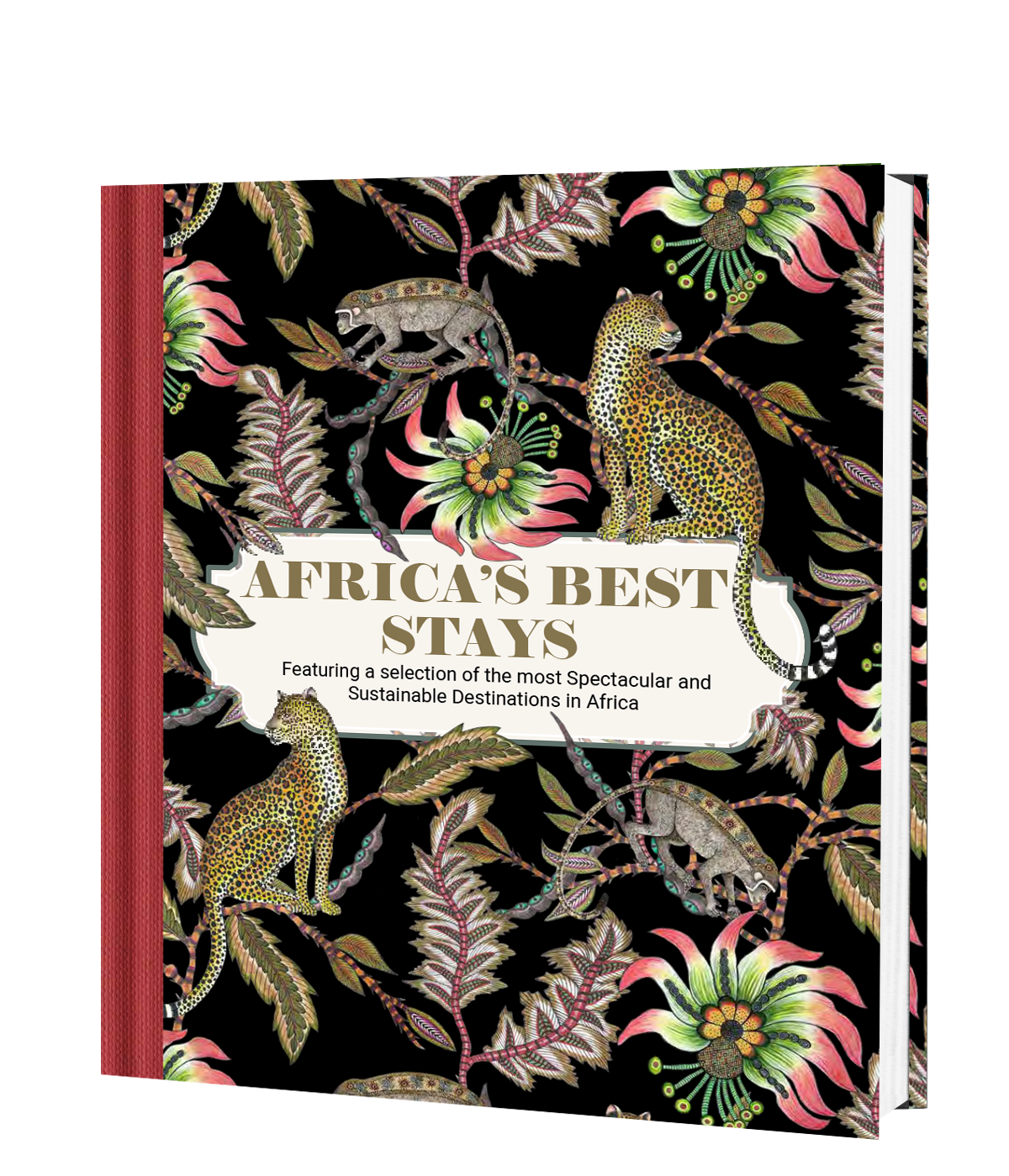 Africa’s Best Stays