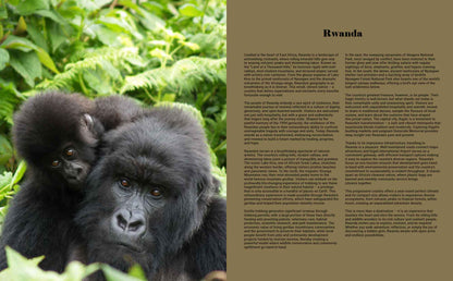 Africa’s Best Stays