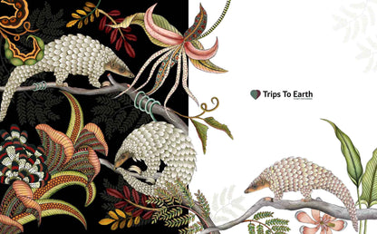 Africa’s Best Stays