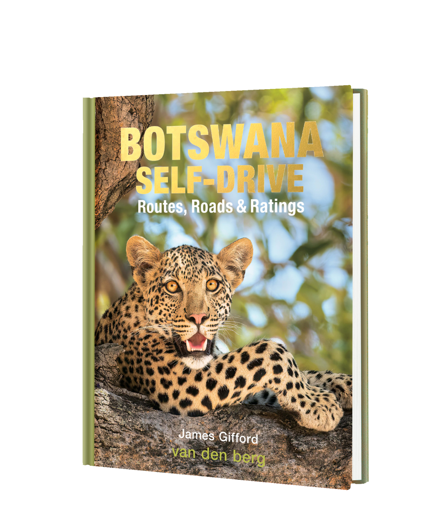 Botswana Self-Drive