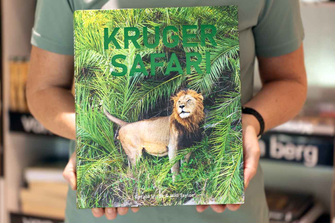 Kruger Safari