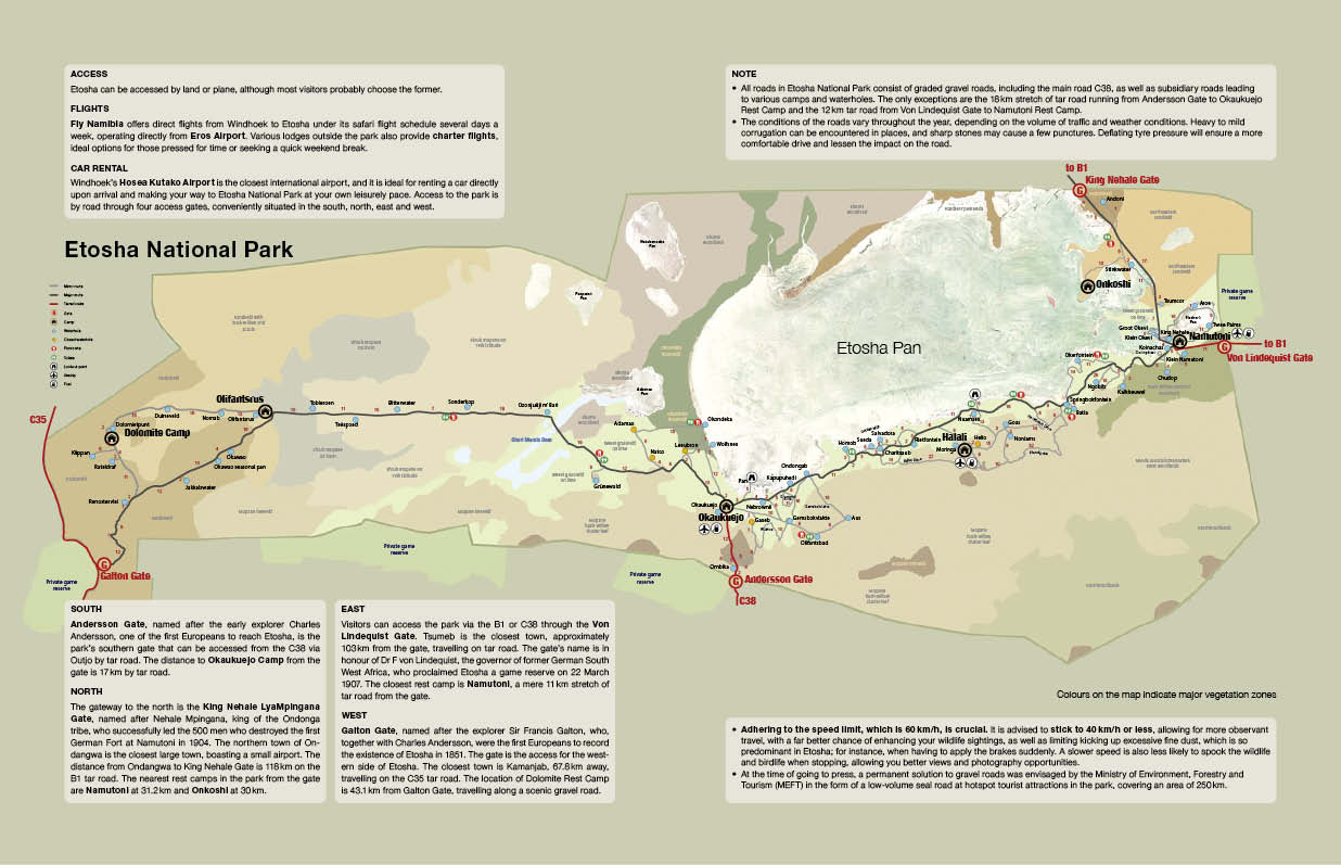 Etosha Self-Drive – Routes, Roads and Ratings