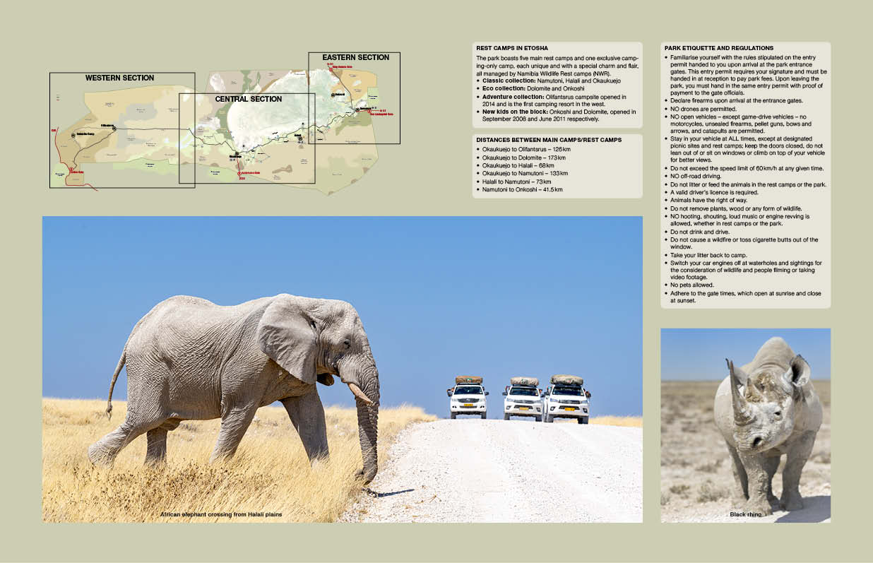 Etosha Self-Drive – Routes, Roads and Ratings