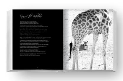 Eden - Soul of Africa