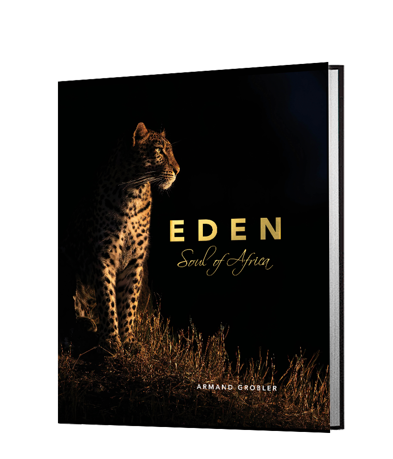 Eden - Soul of Africa