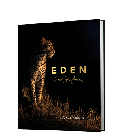 Eden - Soul of Africa