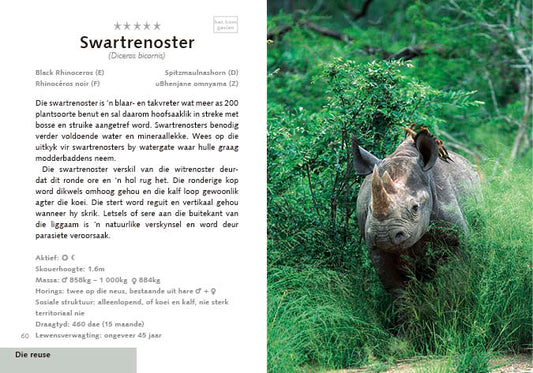 Kruger Diere
