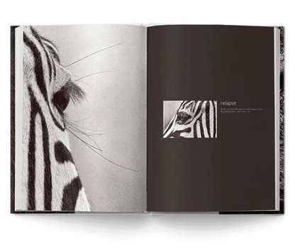 Reflection – Pocket Edition