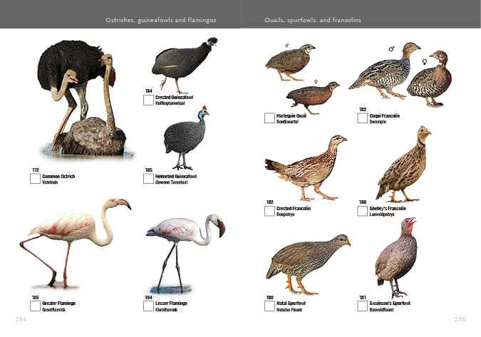 Kruger Birds - Revised Edition