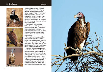Kruger Birds - Revised Edition