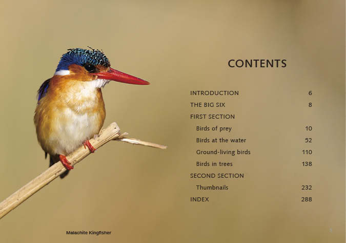 Kruger Birds - Revised Edition