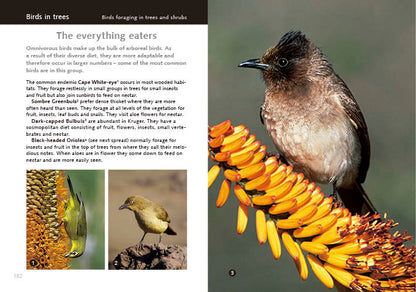 Kruger Birds - Revised Edition