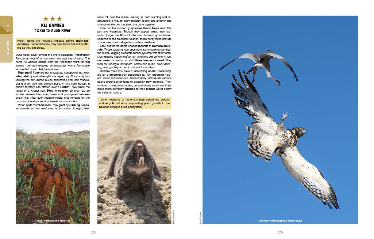 Kgalagadi Self-Drive Revised & Updated Edition - HPH Publishing South Africa