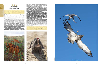 Kgalagadi Self-Drive Revised & Updated Edition - HPH Publishing South Africa