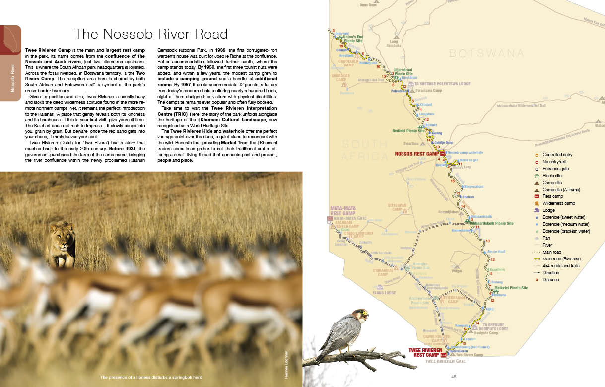 Kgalagadi Self-Drive Revised & Updated Edition - HPH Publishing South Africa
