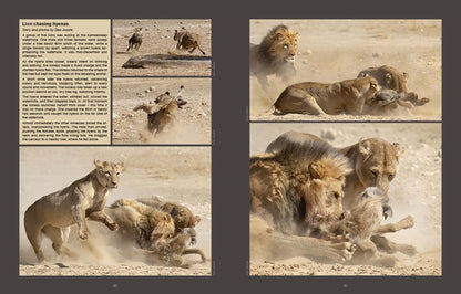 Kgalagadi Self-Drive Revised & Updated Edition - HPH Publishing South Africa