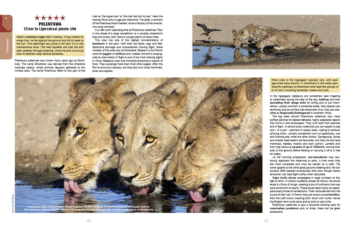 Kgalagadi Self-Drive Revised & Updated Edition - HPH Publishing South Africa
