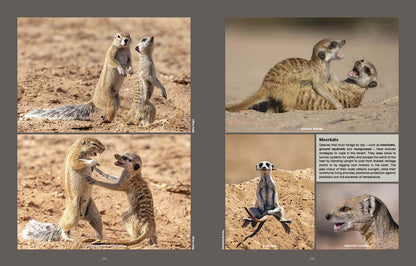 Kgalagadi Self-Drive Revised & Updated Edition - HPH Publishing South Africa