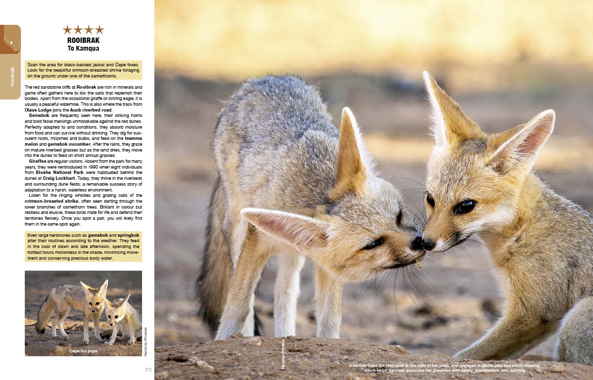 Kgalagadi Self-Drive Revised & Updated Edition - HPH Publishing South Africa