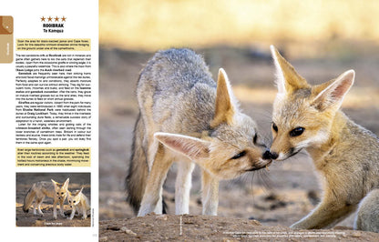 Kgalagadi Self-Drive Revised & Updated Edition - HPH Publishing South Africa