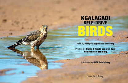 Kgalagadi Self-Drive BIRDS