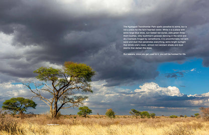 Kgalagadi Self-Drive BIRDS