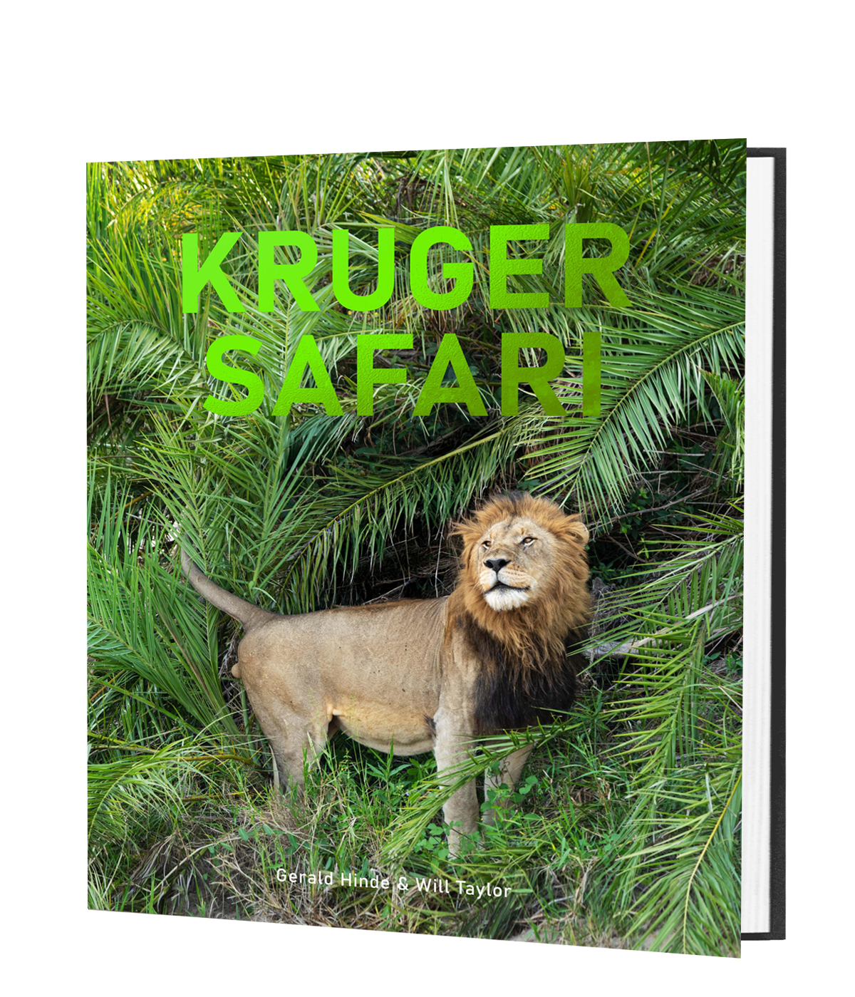 Kruger Safari