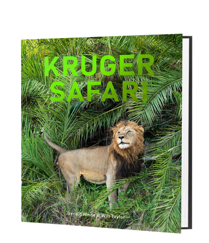 Kruger Safari
