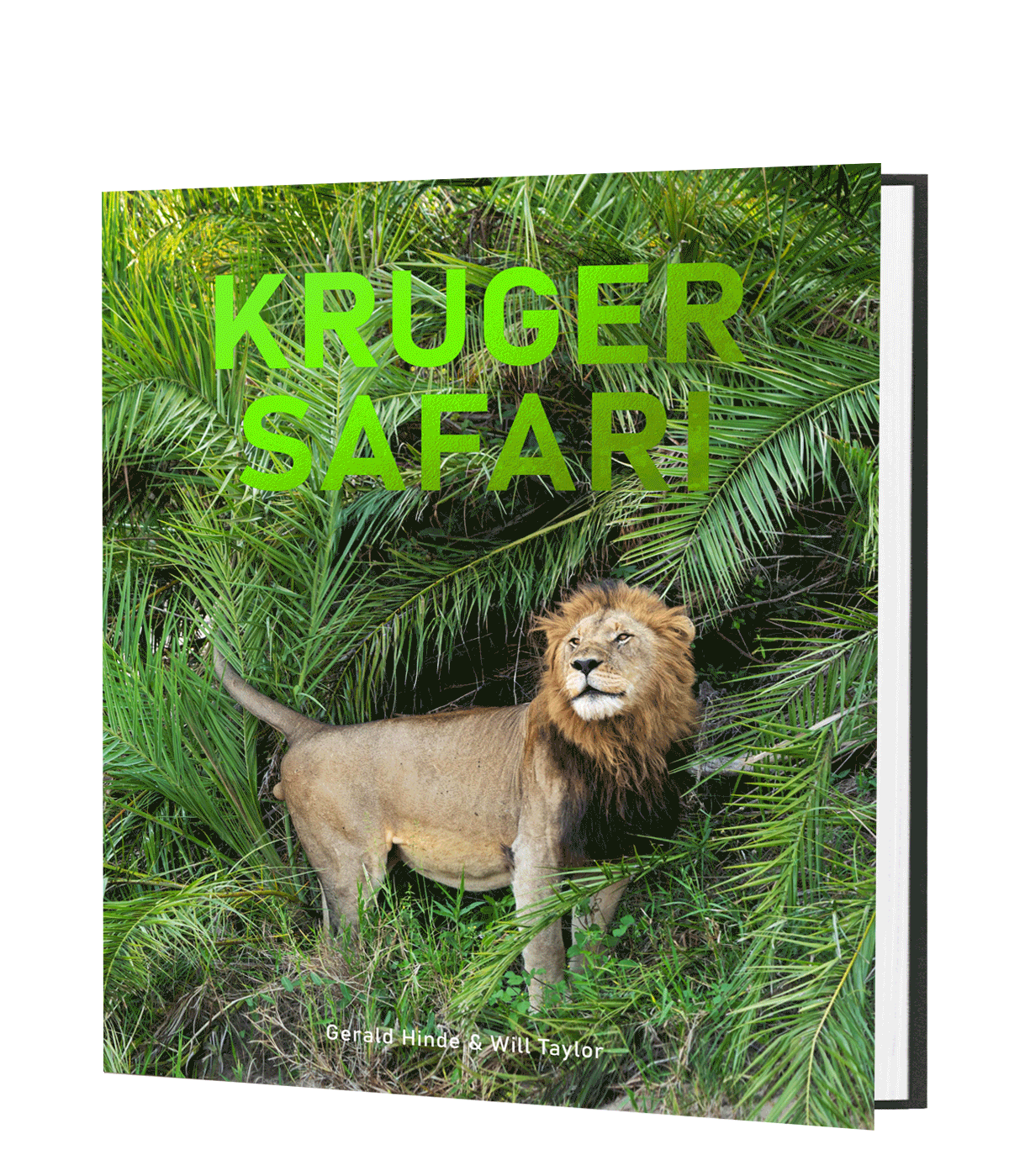 Kruger Safari