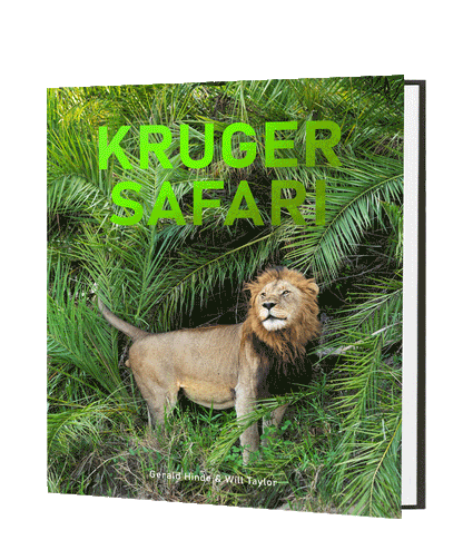Kruger Safari