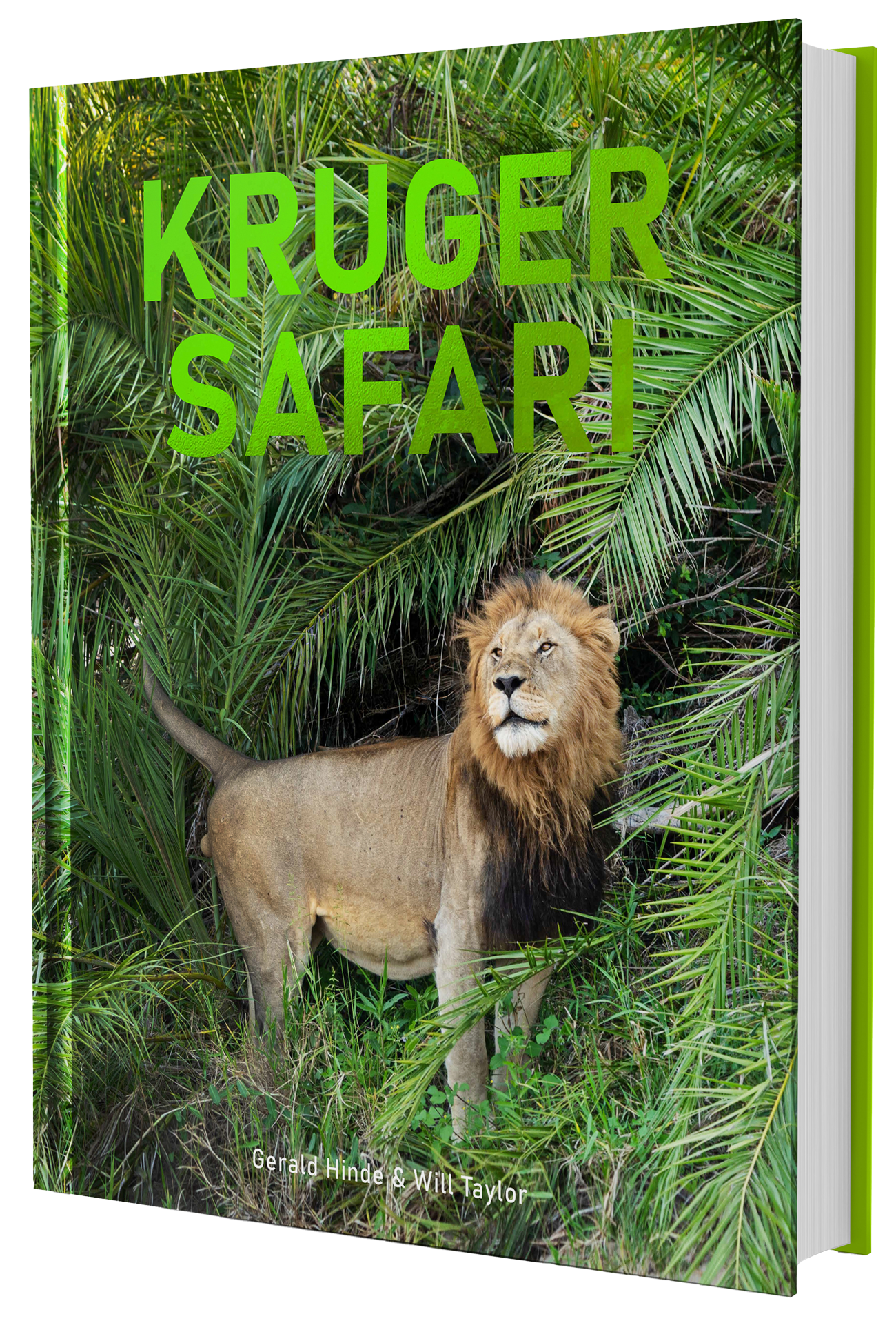 Kruger Safari
