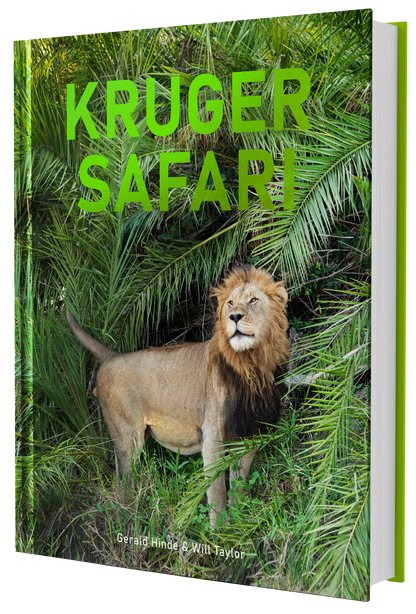Kruger Safari
