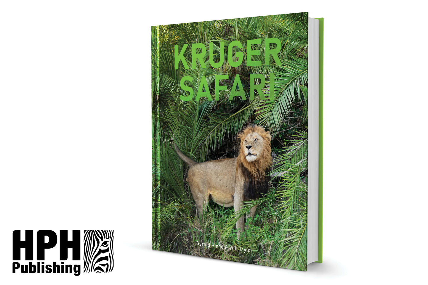 Kruger Safari