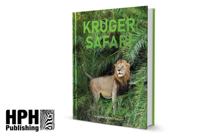 Kruger Safari