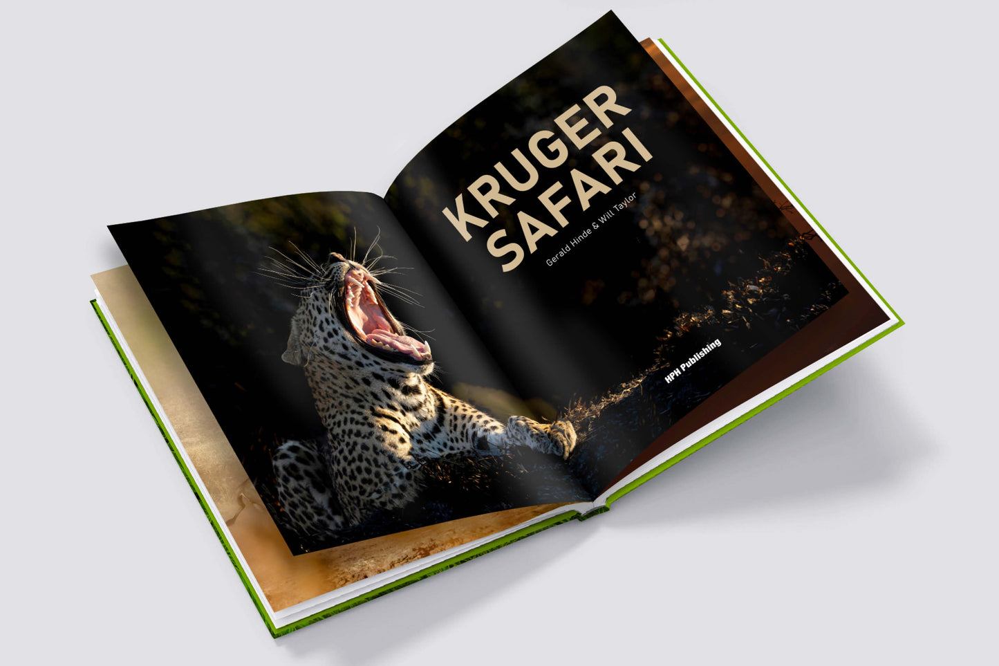 Kruger Safari