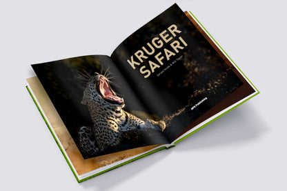 Kruger Safari