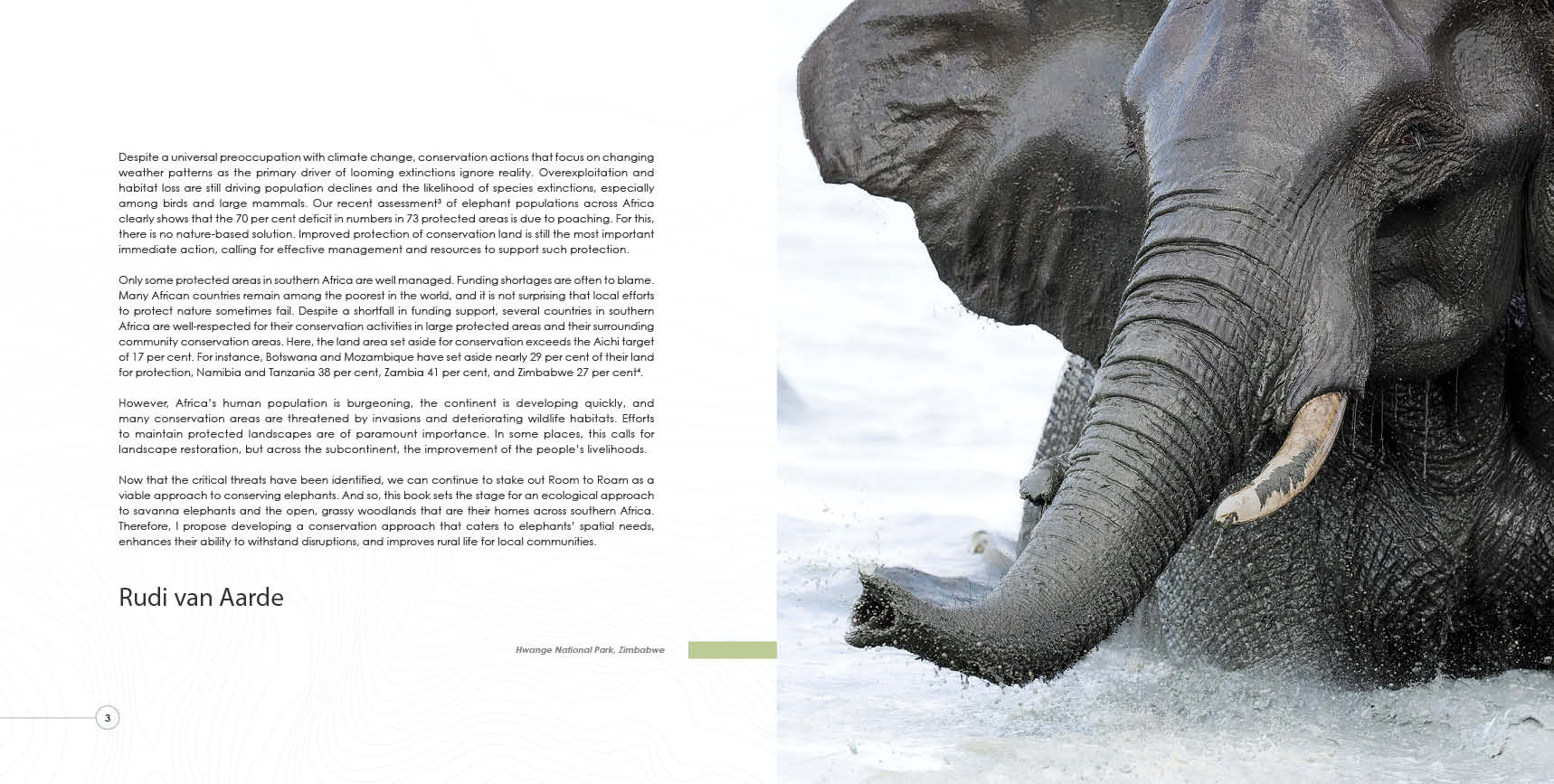 Let Elephants Roam – HPH Publishing