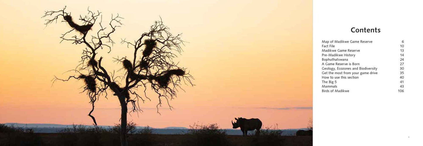 Madikwe Game Drive