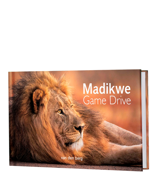 Madikwe Game Drive