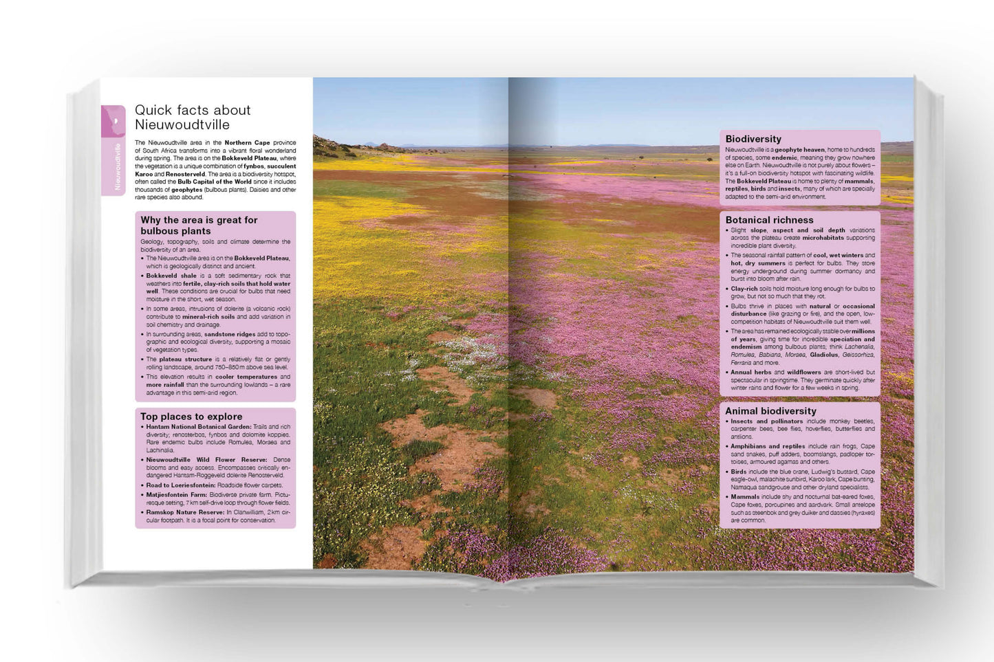 Namaqua Self-Drive