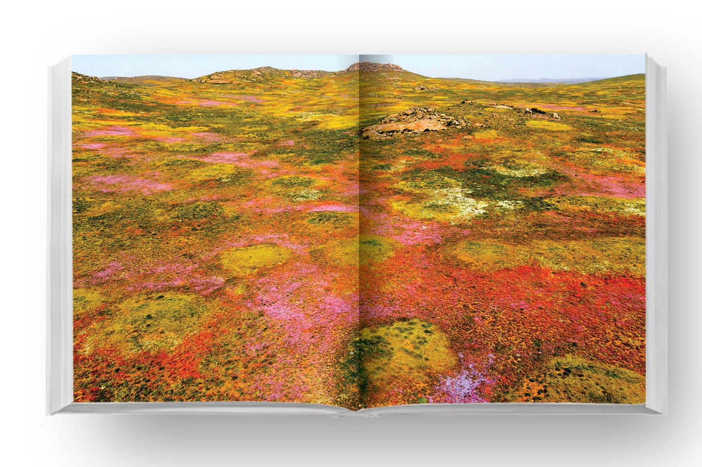 Namaqua Self-Drive