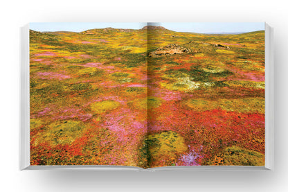 Namaqua Self-Drive